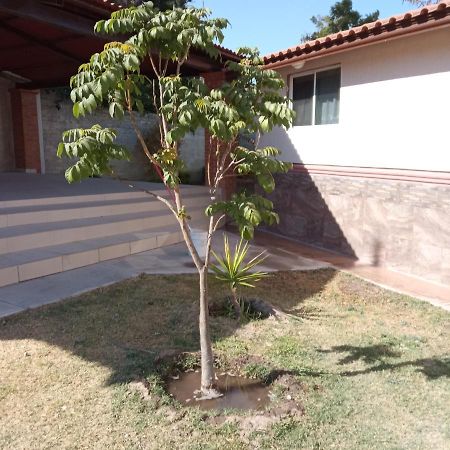 הוילה סלאיה Quinta Los Arcos מראה חיצוני תמונה